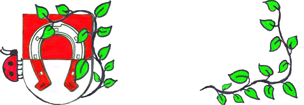 Schöneres Finthen e.V.